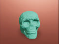 Aztec Death Whistle